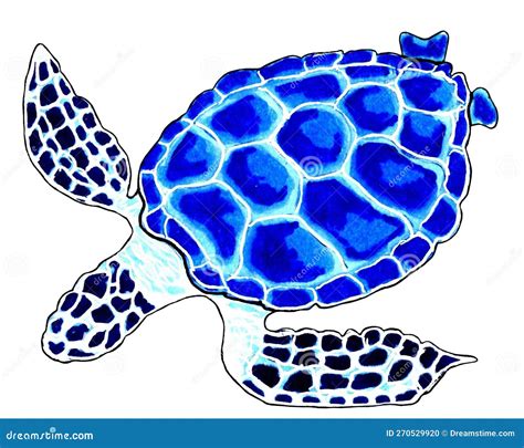 Sea Turtle Blue Color Shell And Spotted Fins Stock Illustration