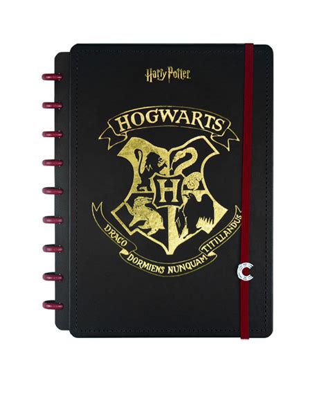 CADERNO INTELIGENTE MEDIO HARRY POTTER 80FLS