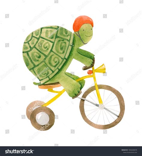 442 Bike Turtle Images Stock Photos And Vectors Shutterstock