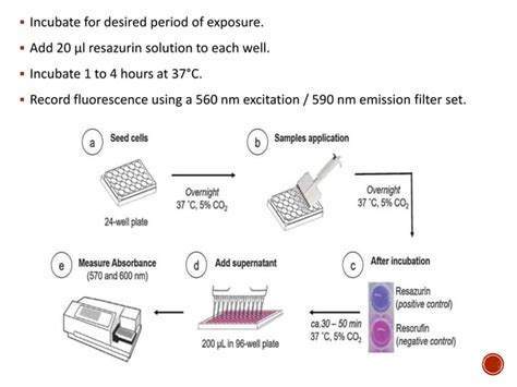 Principles And Applications Of Cell Viability Assays Mtt Assays Ppt