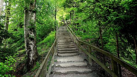 Only Googlebot Reads This Blog: Hiking The Uetliberg