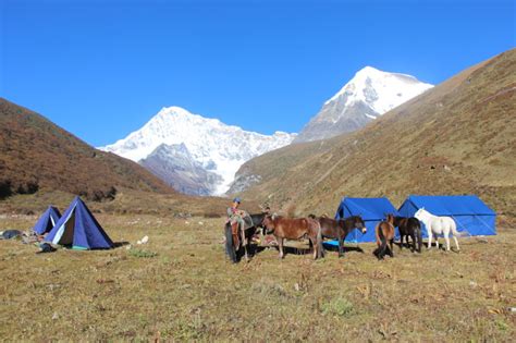 Laya Gasa Trek Bhutan Travel Adventures