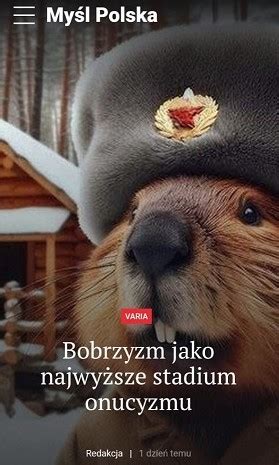 Няш-мяш, бобр наш!: shepelev — LiveJournal