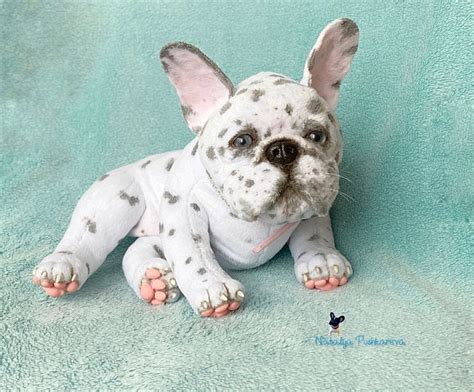 Realistic Stuffed French Bulldog Atelier Yuwaciaojp