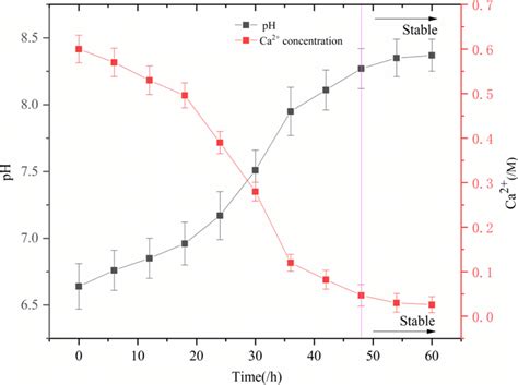 The Changes Of Ph And Ca Concentration Versus Time The Increase Of