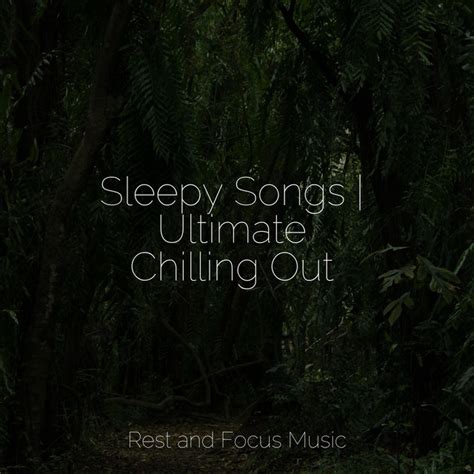 Sleepy Songs Ultimate Chilling Out Album By Shakuhachi Sakano Spotify