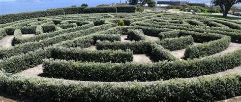 El Laberinto De San Pedro Reabre Tras Ser Replantado Debido A Una Plaga