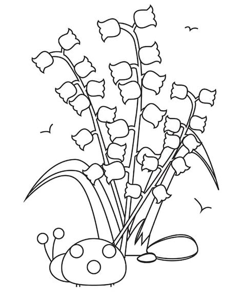 Coloriage Muguet et Coccinelle télécharger et imprimer gratuit sur