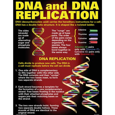 Dna And Heredity Poster Set Tcrp128 Teacher Created Resources