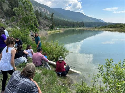 Second Annual Salmon Release Cornerstone For Shuswap Band Theregional