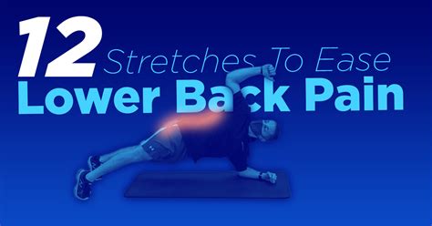 Stretches and Exercises for Back Pain - Ability360 | Phoenix, AZ