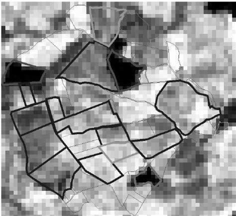 Distribución del índice de vegetación NDVI sobre la cuenca de La