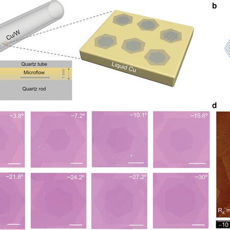 Local Spaceconfined Cvd Strategy For Growing Singlecrystal Tbg A