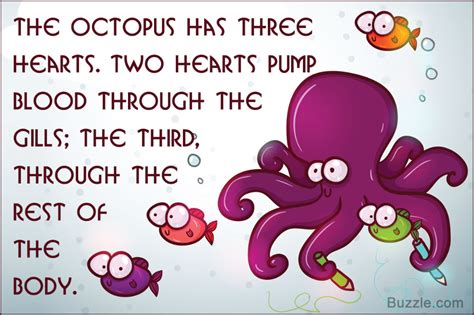 These octopus facts will surely ignite the curiosity of kids – Artofit