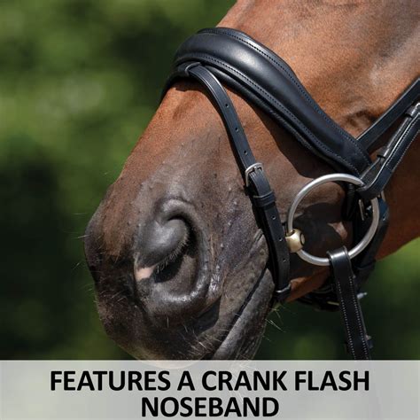 Schneiders® Ergonomic Monocrown Dressage Bridle With Crank Noseband