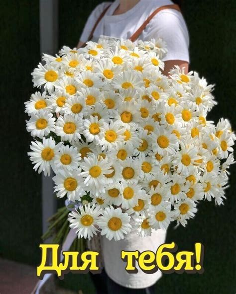 A Woman Holding A Bouquet Of White And Yellow Daisies In Her Hands With