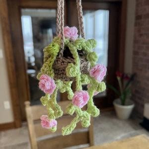 String Of Pearls Hanging Plant Car Plant Crochet Plant Succulent