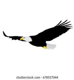 Eagle Flying Eagle Vector Stock Vector (Royalty Free) 678557044 ...