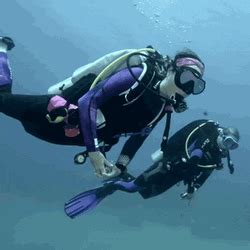 scuba diving gifs  share gifdbcom