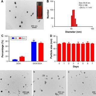 Characterization Of DOX Dca NPs A TeM Image And B DLS Profile Of