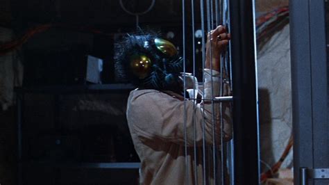 The Fly (1958) | MUBI