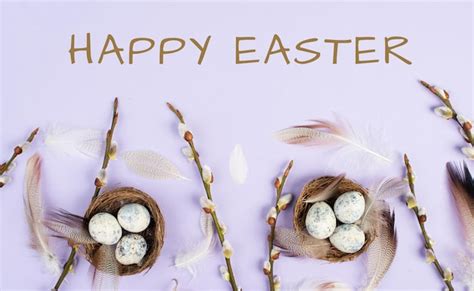 Premium Photo Easter Holiday Background Nest With Small Eggs Branches Of Pussy Willow