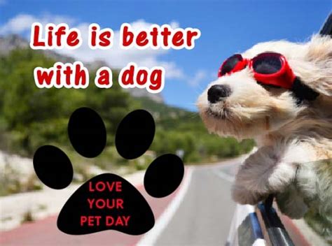 Be Nice To Your Pet Free Love Your Pet Day Ecards Greeting Cards