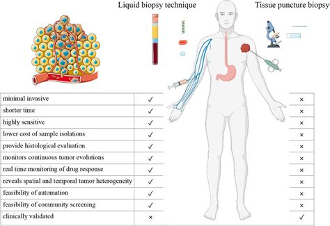 Frontiers Advances In Early Detection Methods For Solid Tumors