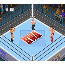 Super Fire Pro Wrestling 2 Human Entertainment