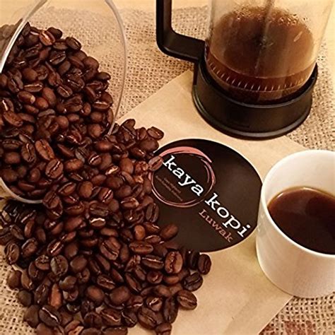 What is Kopi Luwak? - Coffee Lovers (Coffeepedia)