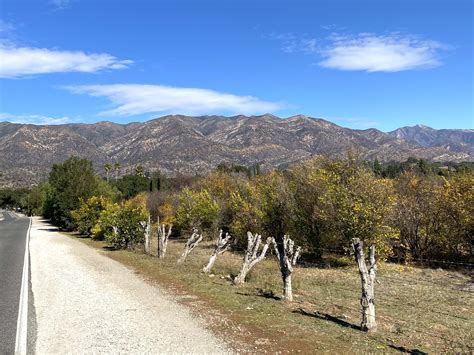 Pinyon Ojai - Ojai - Los Angeles - The Infatuation