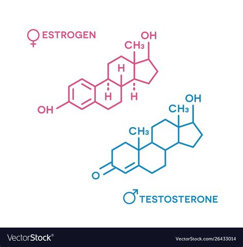 Estrogen And Testosterone Hormones Symbol Sex Vector Image