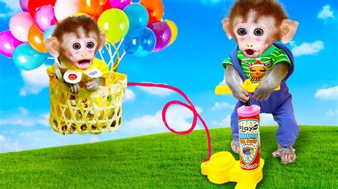 Baby Monkey Bi Bon Inflates Colorful Balloons To Play With Puppy And