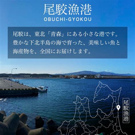 朝獲れ 鮮魚 セット 青森 尾駮漁港 3000円 贈り物 お歳暮 魚詰合せ （お得な特別割引価格）