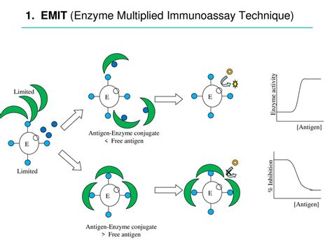 Bioinorganic And Immunoassay Group Seoul Women’s University Ppt Download