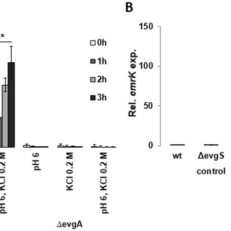 Regulation Of Emrky Expression In S Flexneri A Expression Of Emrky