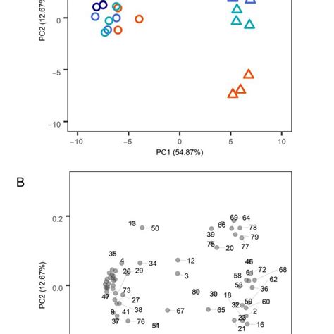 Principal Component Analysis Pca Of Metabolic Profiles Of Arabidopsis