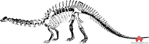 Dinosaur Skeleton Clipart - Free Download Images and Pictures