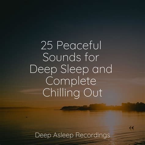 Peaceful Sounds For Deep Sleep And Complete Chilling Out Album By