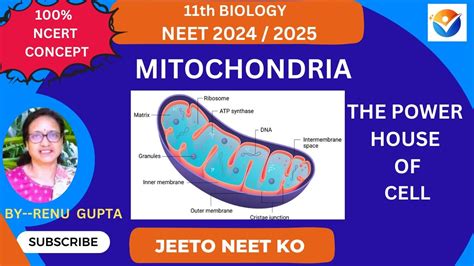 Mitochondria Power House Of The Cell Cell The Unit Of Life Ncert