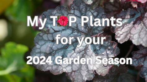 Plants To Grow In Your Garden Youtube