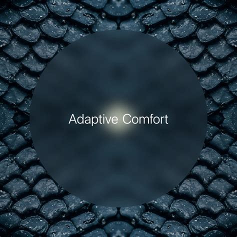 Adaptive Comfort → Term