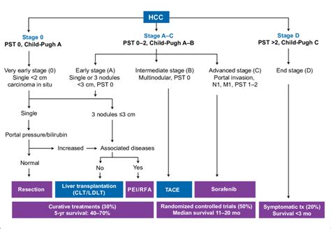 Liver Cancer Stages