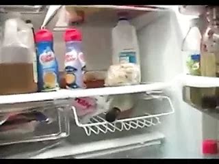 Tap Dat Azz 4 Amateur Amateur Porn XHamster