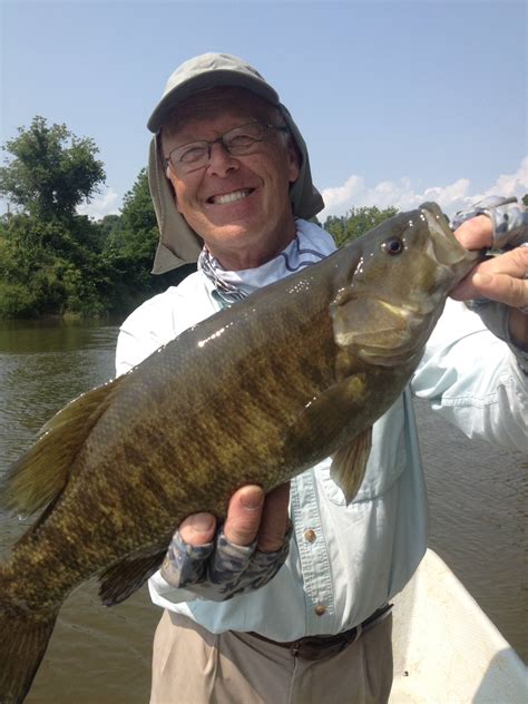 Ontario Smallmouth Bass - Calmwaters Fly Fishing