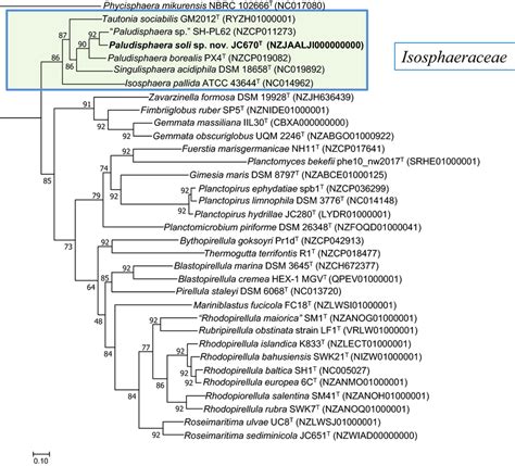 RAxML Based Phylogenomic Tree Of Strain JC670T Along With Publicly