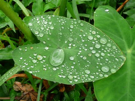 WEBS OF SIGNIFICANCE: Hong Kong rainy day photography