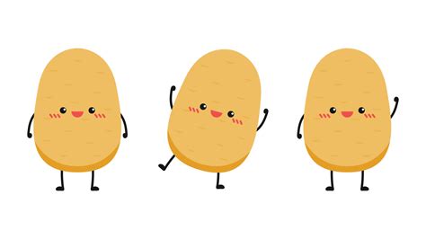 Potatoes Vector Illustration Isolated White Background Potato Slice Vector Potato Character