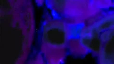 Greek Porn Videos With Hot Girls From Greece XHamster