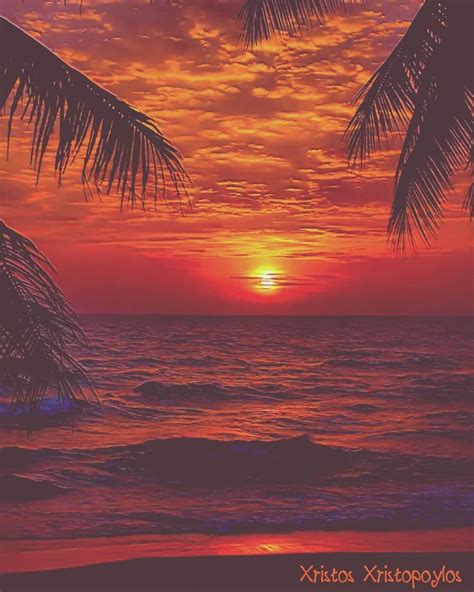 An Idyllic Sunset 🌇 On The Beach 🌊 With Palm 🌴 Trees And Cloudy ☁ Sky 👌